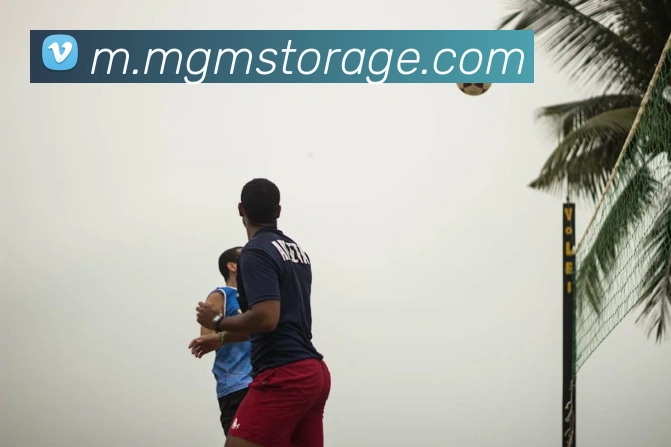 美狮美高梅mgm平台生态图